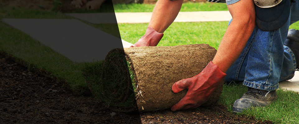 Corunna Landscapers